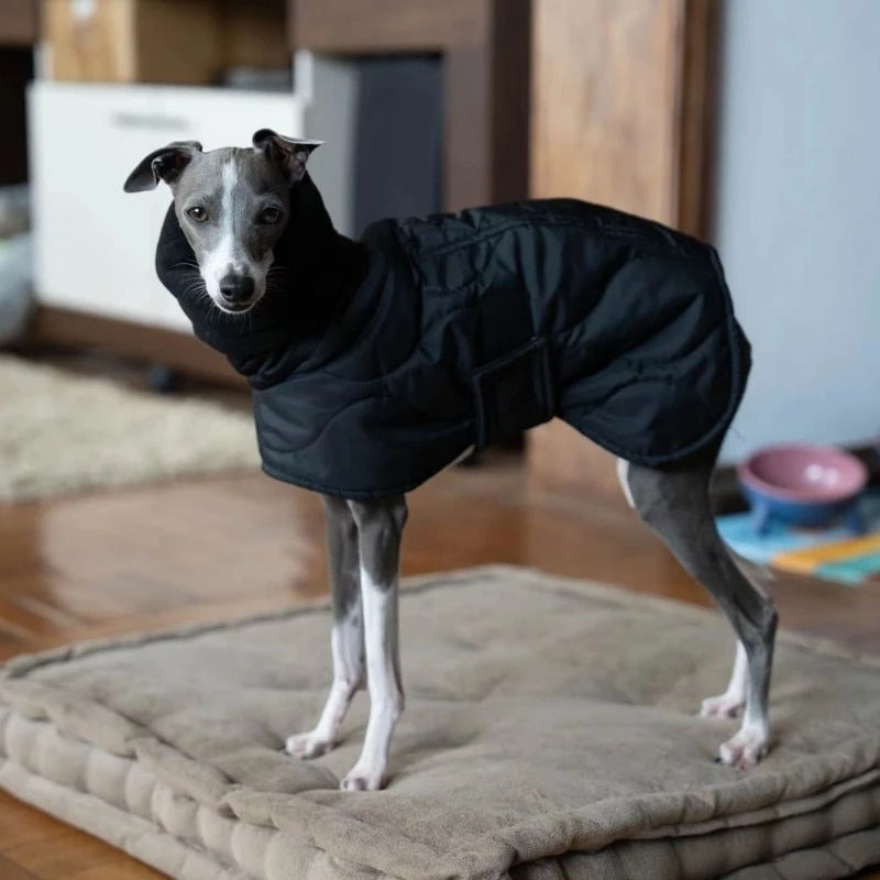 Thumbnail: Capa em Nylon Turtleneck