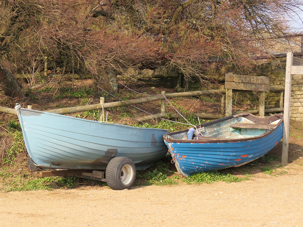 Hive Beach Boats