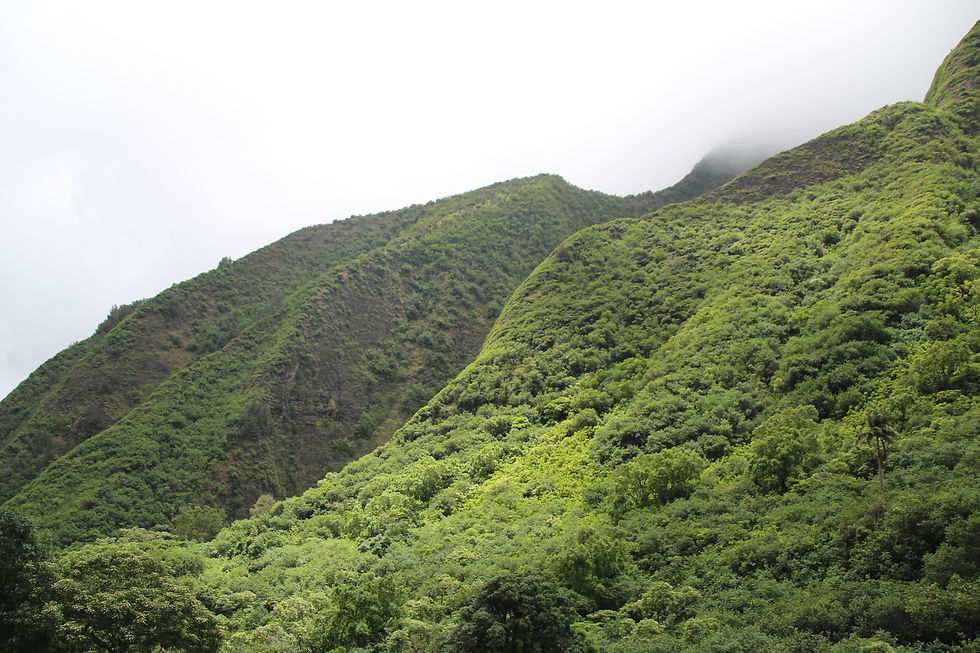 Iao Valley State Park