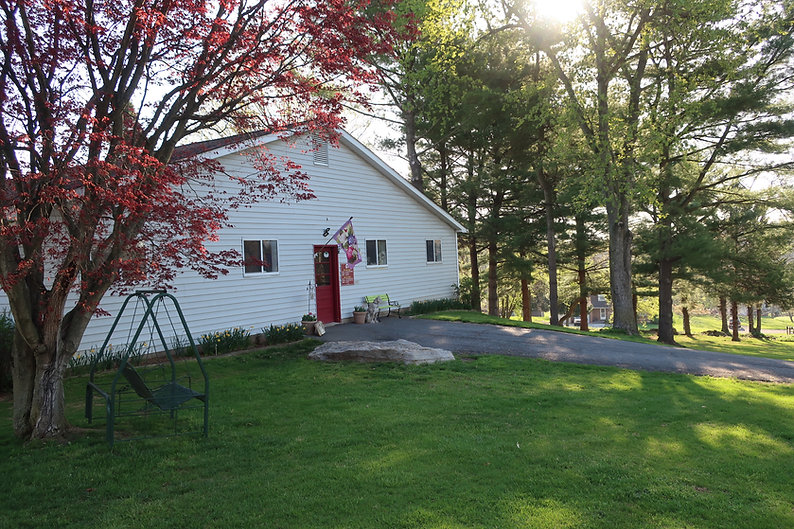 charlyn kennels, dog boarding kennels, carlisle