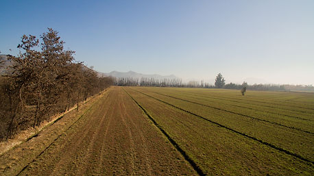 DJI_0132.jpg