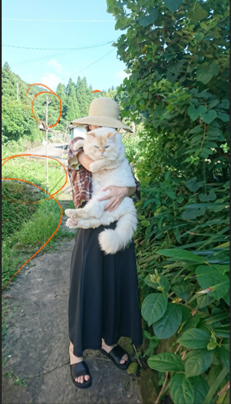 girlandcat_ovals.png