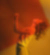 MERET_30_edited.jpg