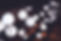 Abstract Lights