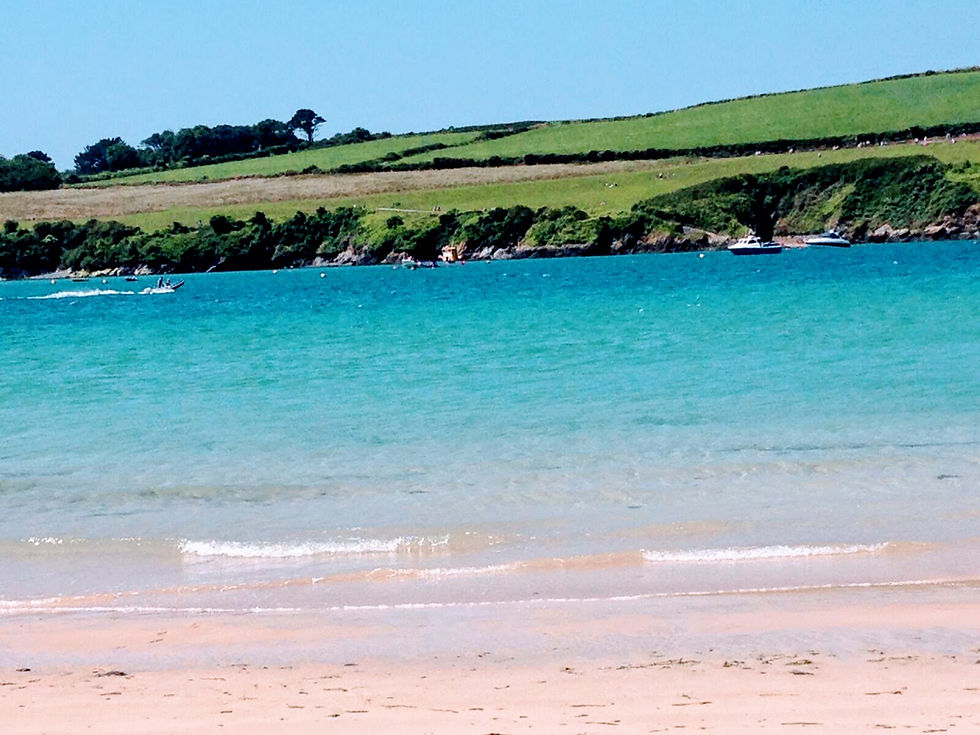 Rock, Cornwall, the hidden gem for families!