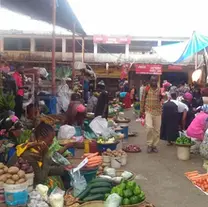 Exploring Moshi: Hidden Gems and Local Attractions