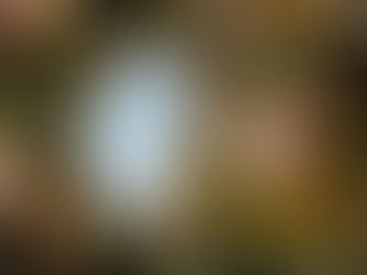 Les gestes barrières font leur retour en raison de l’augmentation du taux de cas de Covid- 19