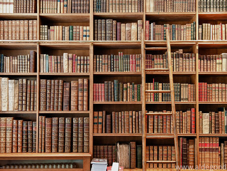 Lire : une activité délaissée mais importante