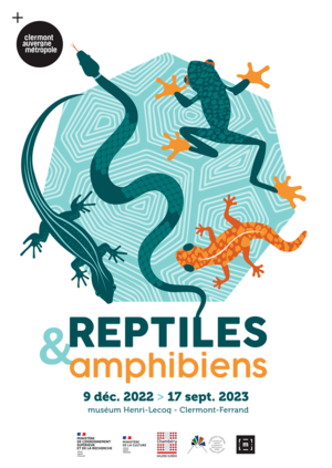 Nouvelle exposition au muséum Henri Le Coq : reptiles et amphibiens s’installent pour quelques mois