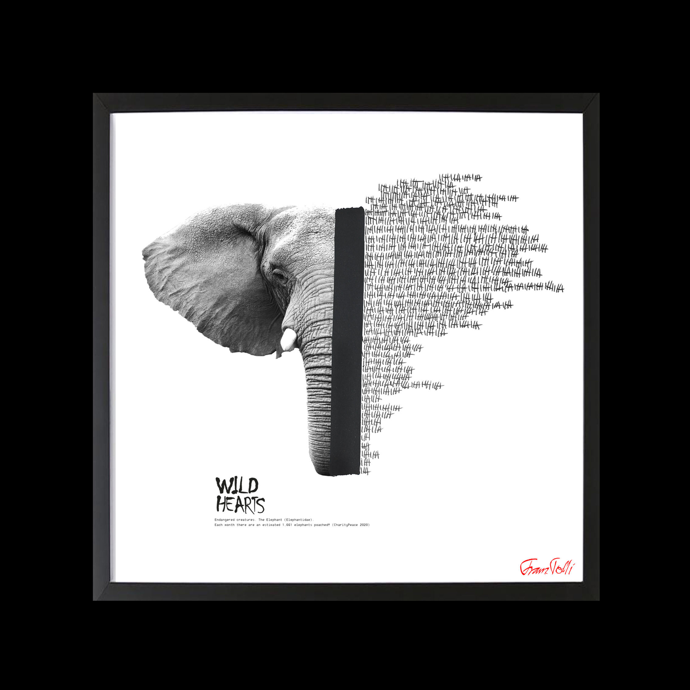 WILDHEARTS `Elephantidae`