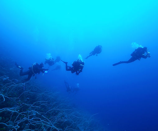 Scuba Divers Deep Sea Diving