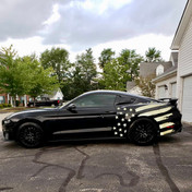 Mustang GT S550 Relective Splash Graphic