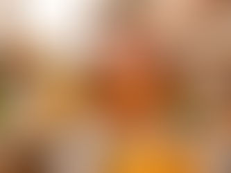 Ten+: Embark on a Safari Dining Adventure at Singapore's First Themed Bistro