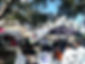 Domain Farmers market_edited.jpg