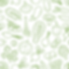 Screen Shot 2025-07-08 at 2.25.08 PM.png