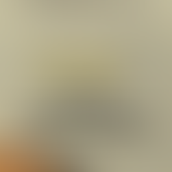 Honing ways of communication: Meeting culture.