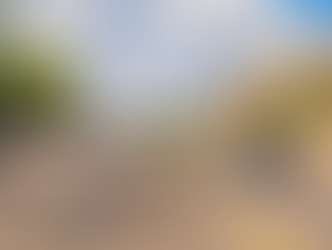 Momentum on East 7th: Exciting Developments in Our Neighborhood