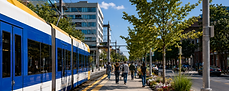 Public Train