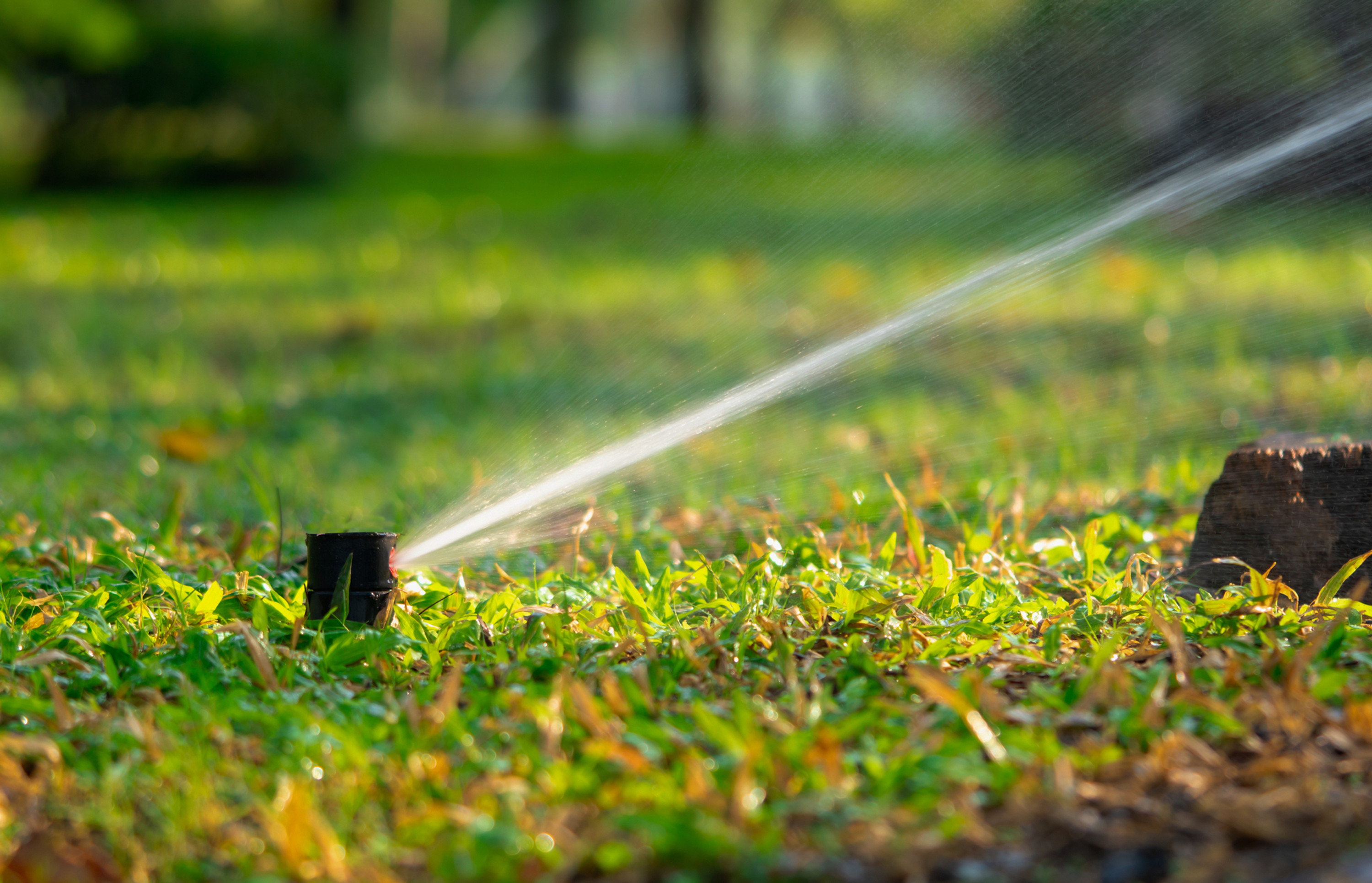 Superior Irrigation Program (SIP) (Annual Subscription)