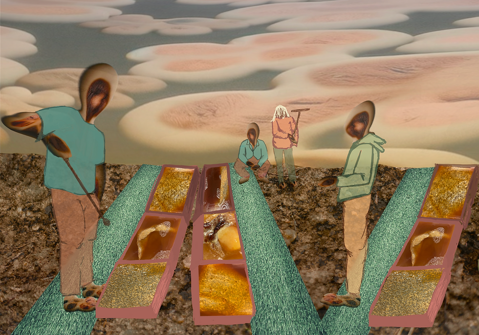 Communal Augmentations