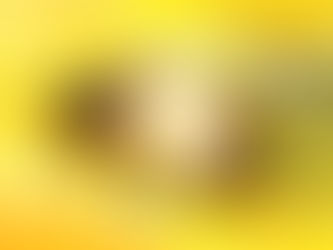 🐝 BEE HEALED ! ! ! ! 🐝