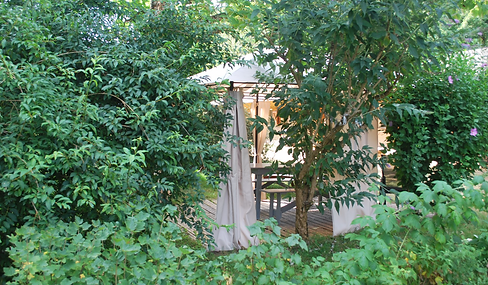 Capture d'écran 2024-05-16 231322.png