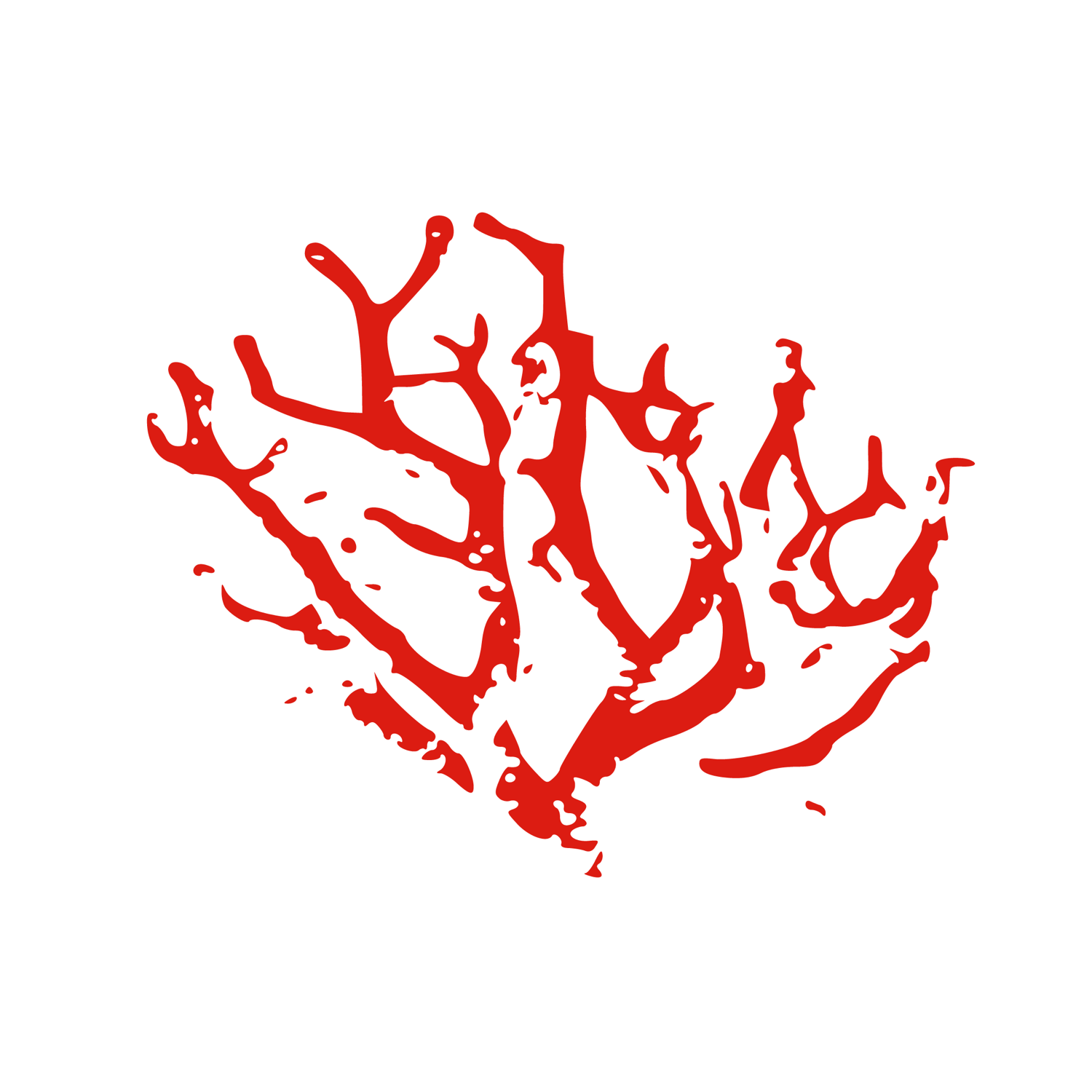 Photo du rédacteur: lepecheurdecorail