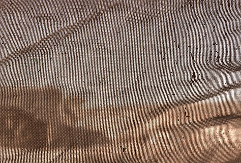 image00090_edited.jpg