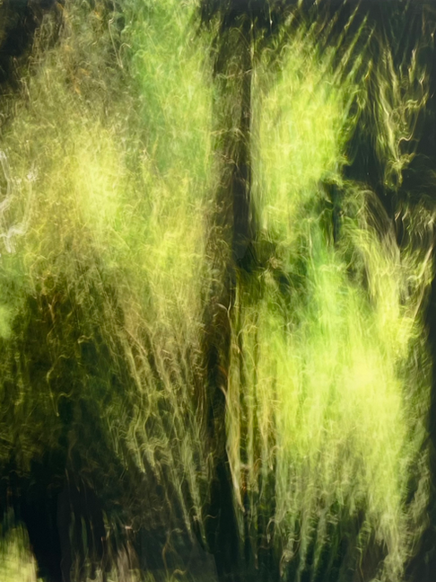 Notas sobre Uma Transa AntárticAmazônica