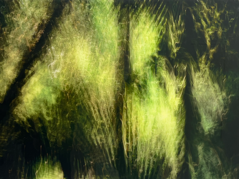 Notas sobre Uma Transa AntárticAmazônica