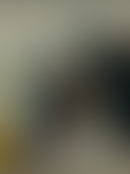 As linguagens da memória em "Uma das Marias"