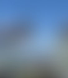 Ebulição global: 14 maneiras de refletir sobre o meio ambiente