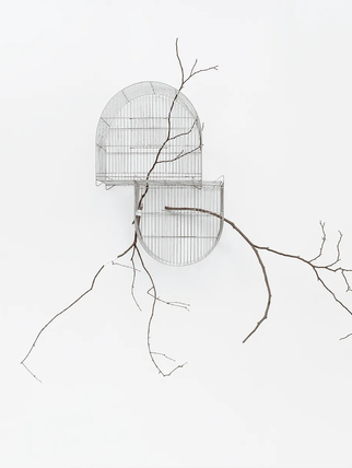 Encontre o Belo o máximo que puder!