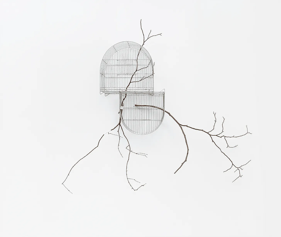 Experimentos para uma estação de cura (autorretrato), (2023–2025), de Isadora Soares Belletti (1995). Imagem: Divulgação/Ding Musa