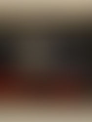 Sérgio Ferro em Dois Tempos: Crítica ao Plano e a Singularidade pós 1990