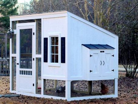 Building Your Own Chicken Coop