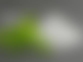 Can Dogs Eat Artificial Sweeteners?