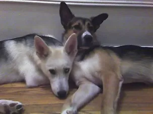 Kenza Sonmon Histoire