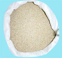 BajraGreenIndia.jpg