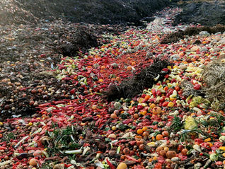 Food waste - what can be done?