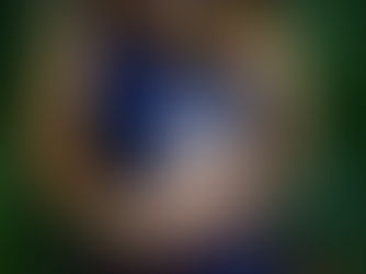 Should the natural world have legal rights?