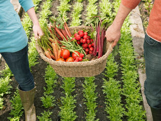 Is our food system broken?