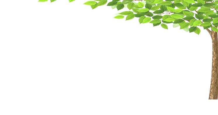 大宮の木(透明)_1_edited_edited_edited.png