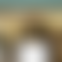 소규모 건축설계사무소의 BIM 내재화