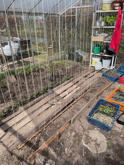 TomatenTouwtjesSpannen2