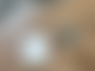 How to create a Newsletter for your Business