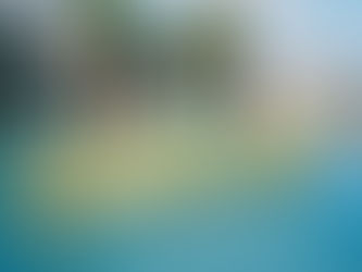 PRINCESS POLLY SPRING BREAK Influencer Event in Miami