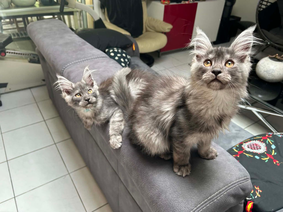 1f26905f-c94e-4fc6-a23a-75f993432a53