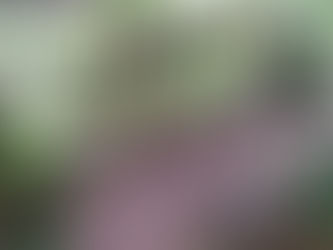 TURISMO DE ATURALEZA (ORQUIDEARIO EL CANEY RESTREPO META)