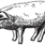 Pig illustration
